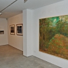 Jan Rauchwerger exhibition Z  (19) 1
